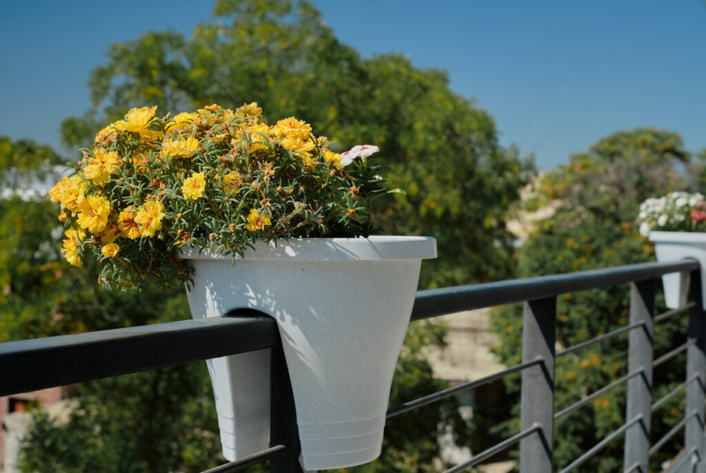 Ogród na balkonie – pomysły na zieloną przestrzeń